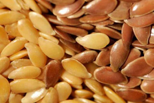 Linola-Seed