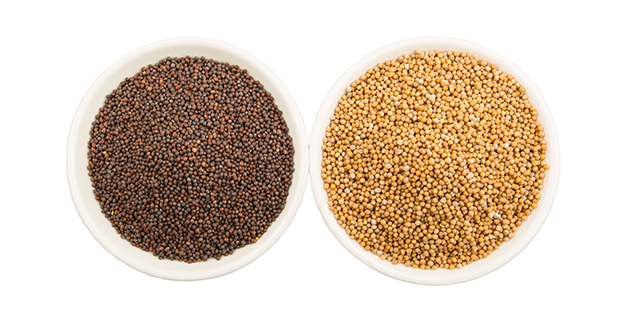Mustard-Seed