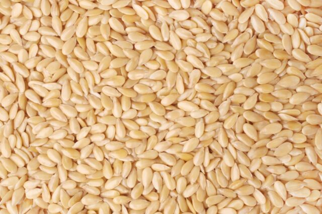 Sesame-Seed